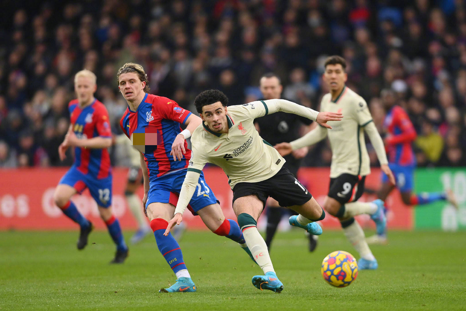 这些案例无 这些案例无